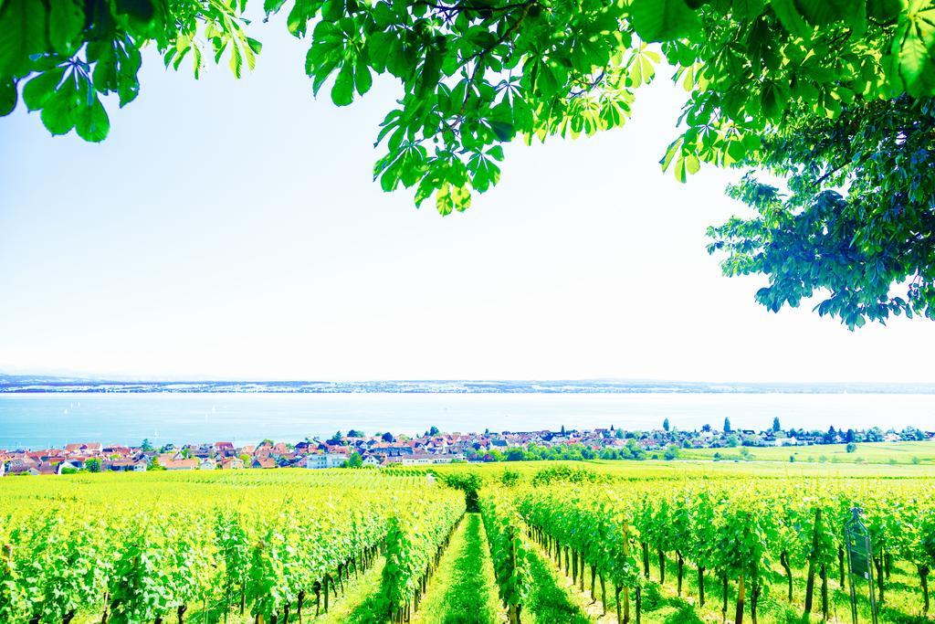 Burgunderhof Bodensee - Adults Only Hagnau Exterior photo